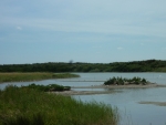 Voyage en baie de Somme